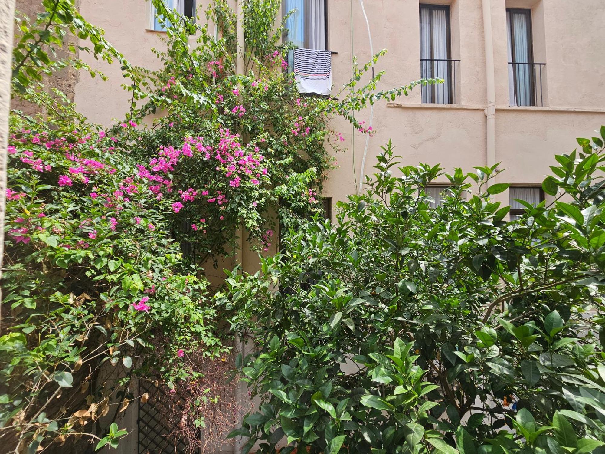 Hotel Palermo — Photos 1